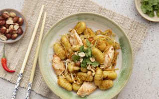 gno-wok-de-gnocchi-facon-pad-thai-copie